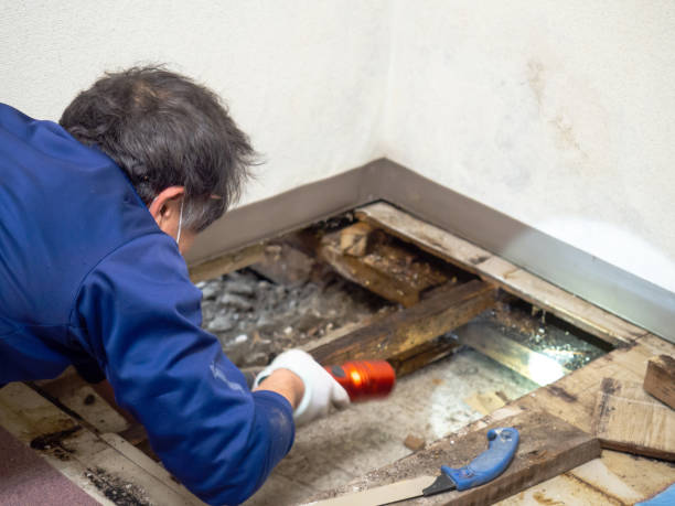 Best Crawl Space Mold Removal  in Liberty, UT