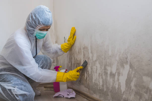 Best Crawl Space Mold Removal  in Liberty, UT