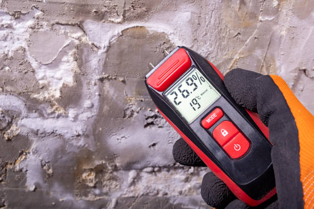 Best Local Mold Removal Service  in Liberty, UT