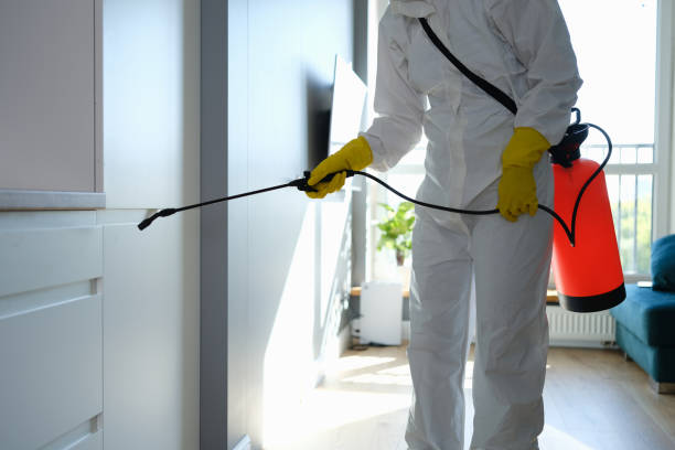 Best Office Mold Removal Services  in Liberty, UT