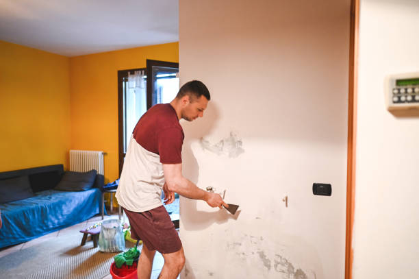 Best Toxic Mold Removal  in Liberty, UT
